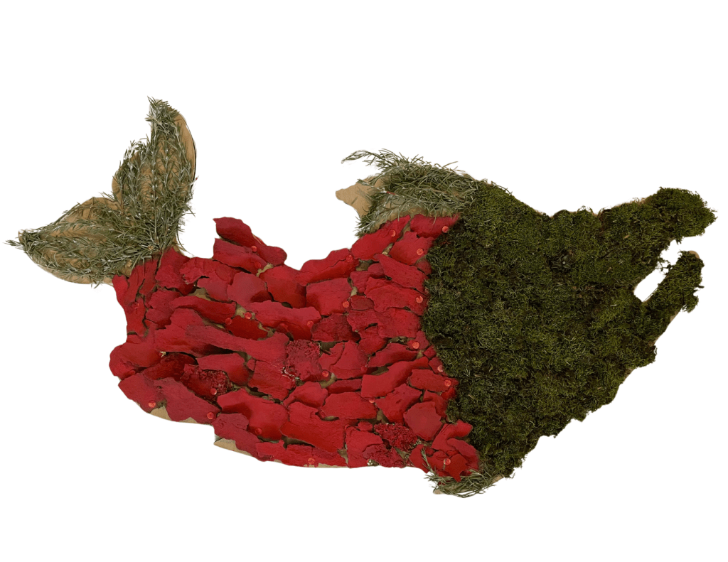 Salmon artwork- a salmon made from natural materials, bark painted red for the body, green moss for the head, and rosemary twigs for the tail and dorsal fins