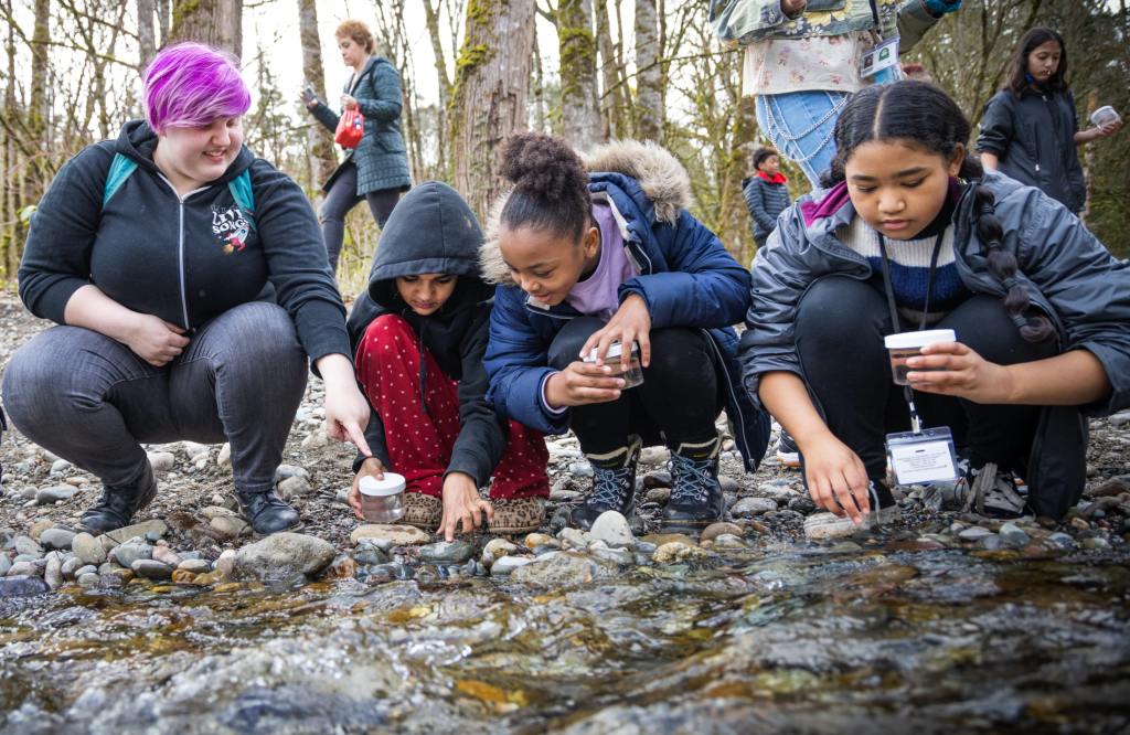 8/19 A high school intern helps students release salmon fry into Swan Creek.
