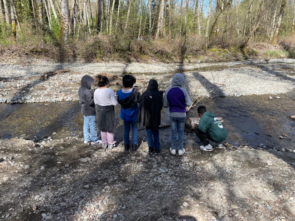 A high school intern helps a group of students release their fry into Swan Creek